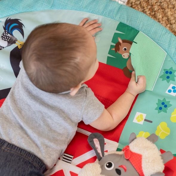 BABY EINSTEIN DEKA NA HRANÍ PRO ROZVOJ MOTORIKY A SMYSLŮ HAPPY HARVEST™ TOUCH & FEEL, 0M+ - HRACÍ DEKY - PRO DĚTI
