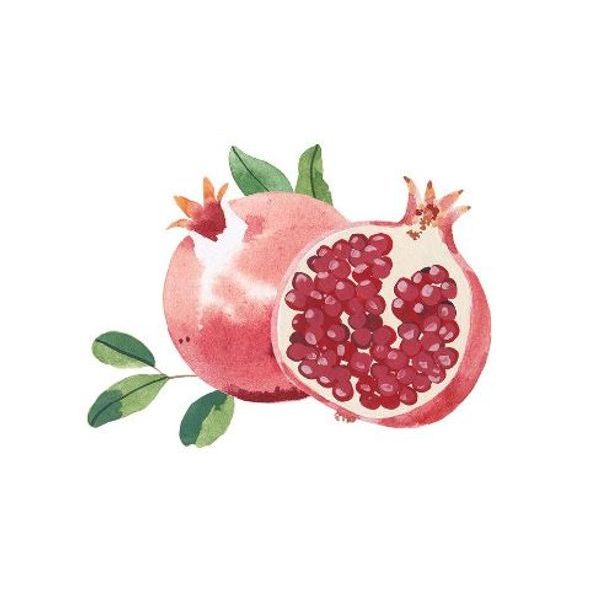 WELEDA REGENERAČNÍ KRÉM NA RUCE GRANÁTOVÉ JABLKO 50ML - KOSMETIKA PRO CELOU RODINU - PRO MAMINKY