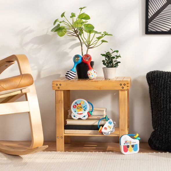 BABY EINSTEIN HRAČKA HUDEBNÍ BUBEN TINY TEMPO™ 3M+ - MOTORICKÉ A HUDEBNÍ - PRO DĚTI