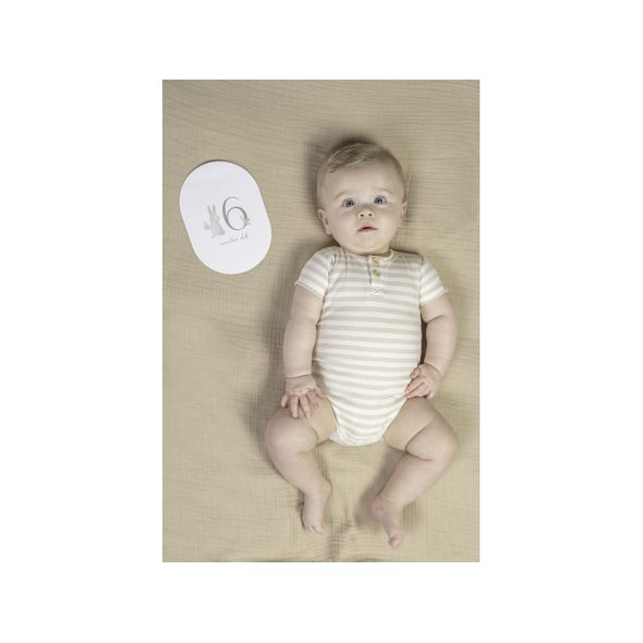 LITTLE DUTCH KARTY S VĚKEM BABY BUNNY - DÁRKOVÉ SADY - PRO DĚTI