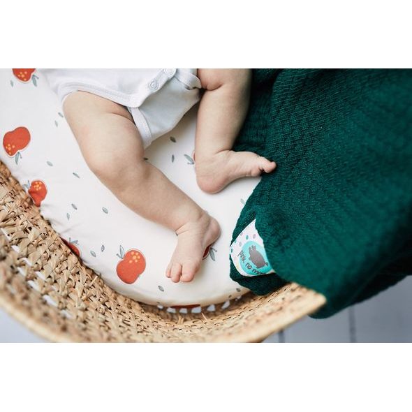 PINKNOMORE DEKA PŘÍZOVÁ BAMBUS FOREST - DĚTSKÉ DEKY PRO MIMINKA - SPINKÁNÍ