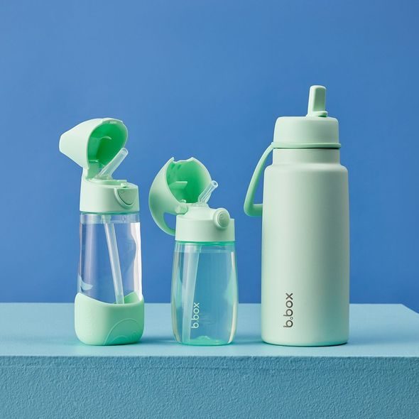 B.BOX LAHEV NA PITÍ S BRČKEM 450 ML - SPEARMINT - SPORTOVNÍ LAHVE - KRMENÍ