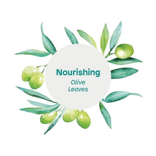 ATTITUDE PŘÍRODNÍ TĚLOVÉ MÝDLO SUPER LEAVES S DETOXIKAČNÍM ÚČINKEM 473 ML - ŠAMPONY A KOSMETIKA - KOUPÁNÍ A ZDRAVÍ