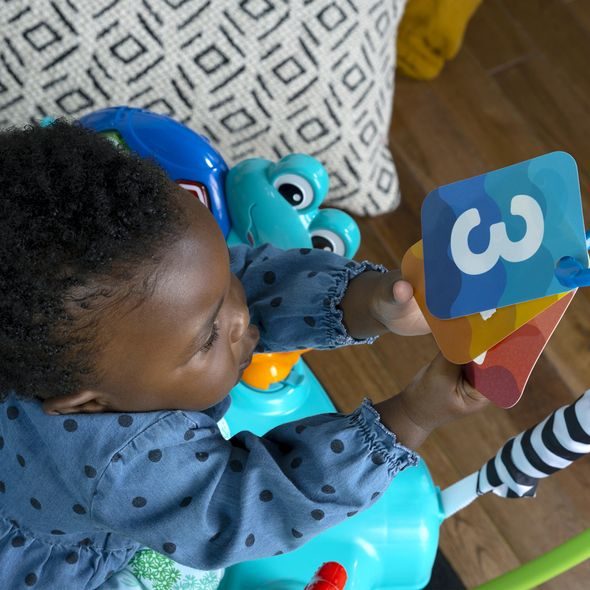 BABY EINSTEIN SKÁKADLO/AKTIVNÍ CENTRUM 2V1 CURIOSITY COVE™ 6M+ DO 11KG - VOZÍTKA A ODRÁŽEDLA - PRO DĚTI