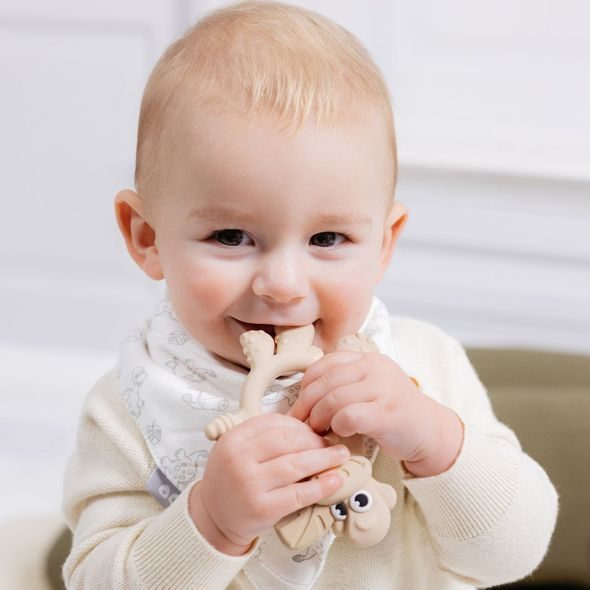 BIBADO KOUSÁTKO SENSORY DITTY THE DINOSAUR FAWN - KOUSÁTKA - PRO DĚTI