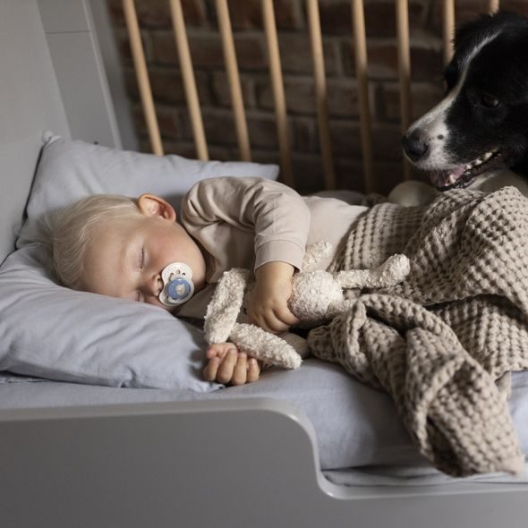 LOVI DUDLÍK SILIKONOVÝ DYNAMICKÝ NIGHT&DAY 18M+ 2KS KLUK - ŠIDÍTKA A DOPLŇKY - KRMENÍ