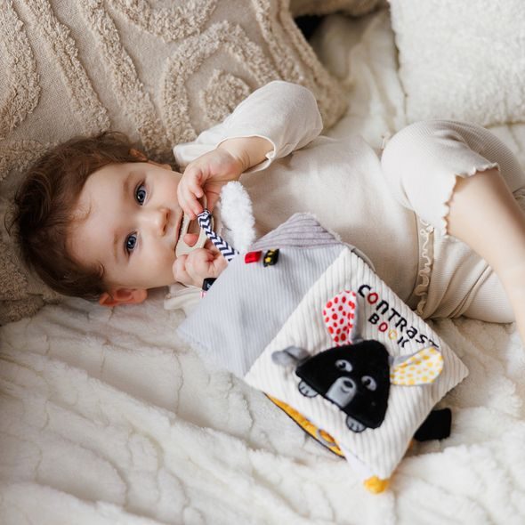 BABYONO KNÍŽKA SENZORICKÁ KONTRASTNÍ MOUSE 0 M+ - KNÍŽKY PRO NEJMENŠÍ - PRO DĚTI