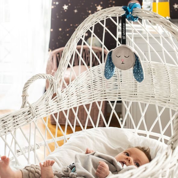 WHISBEAR® ŠUMÍCÍ ZÁVĚSNÝ KRÁLÍK - HRAČKY K ZAVĚŠENÍ - PRO DĚTI