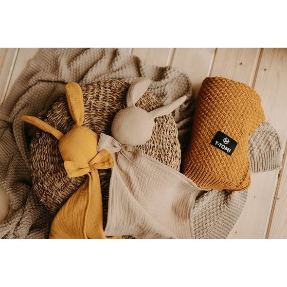 T-TOMI MUŠELÍNOVÝ USÍNÁČEK TEDDY - USÍNÁČCI MAZLÍCÍ - PRO DĚTI