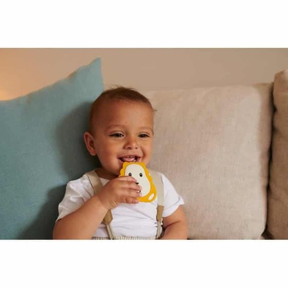 MATCHSTICK MONKEY SET KOUSÁTKA A KLIPU LEV - KOUSÁTKA - PRO DĚTI