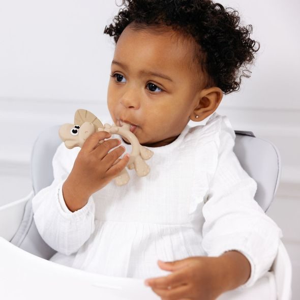 BIBADO KOUSÁTKO SENSORY DITTY THE DINOSAUR FAWN - KOUSÁTKA - PRO DĚTI