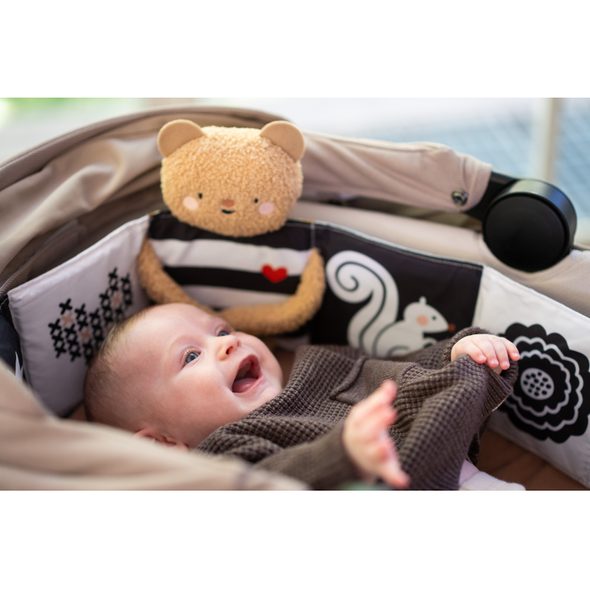 TAF TOYS MEDVÍDEK PLYŠOVÝ S KNÍŽKOU SNUGGLE BEAR - PLYŠOVÁ ZVÍŘATA - PRO DĚTI