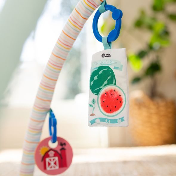 BABY EINSTEIN DEKA NA HRANÍ PRO ROZVOJ MOTORIKY A SMYSLŮ HAPPY HARVEST™ TOUCH & FEEL, 0M+ - HRACÍ DEKY - PRO DĚTI