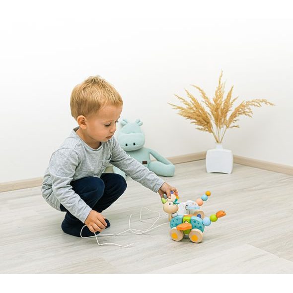 ZOPA DŘEVĚNÁ TAHACÍ HRAČKA - TAHACÍ A TLAČÍCÍ - PRO DĚTI
