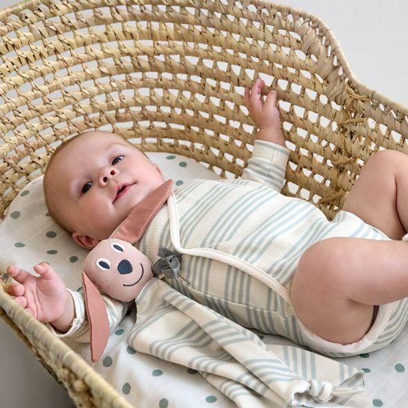 LÄSSIG DĚTSKÝ MAZLÍČEK CUDDLE CLOTH GOTS DOG - USÍNÁČCI MAZLÍCÍ - PRO DĚTI