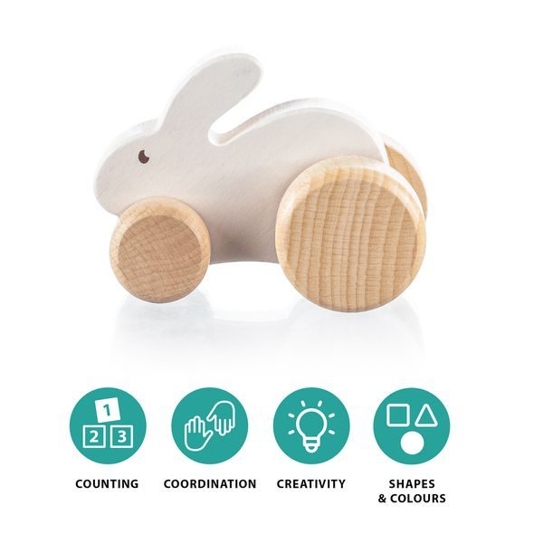 ZOPA DŘEVĚNÉ JEZDÍCÍ ZVÍŘÁTKO - AUTÍČKA A JEZDÍCÍ - PRO DĚTI