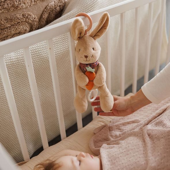 BABYONO HRAČKA HUDEBNÍ NA C-KROUŽKU RABBIT KARO 0M+ - HRAČKY SE ZVUKY - PRO DĚTI