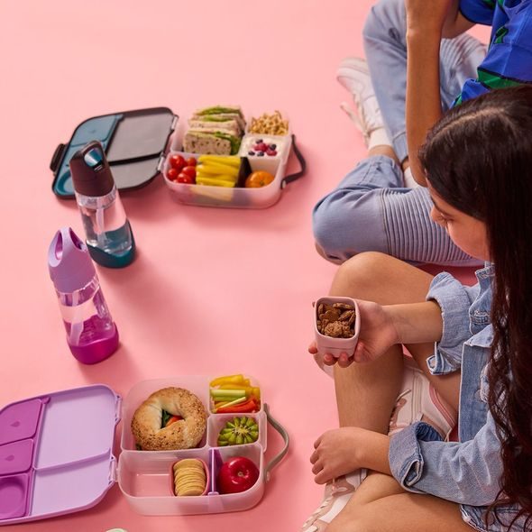B.BOX SVAČINOVÝ BOX VELKÝ - SUGAR PLUM - KRABIČKY NA SVAČINU - KRMENÍ