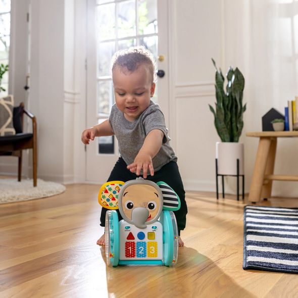 BABY EINSTEIN HRAČKA HUDEBNÍ INTERAKTIVNÍ CHASE & TAP EARL™ 6M+ - MOTORICKÉ A HUDEBNÍ - PRO DĚTI