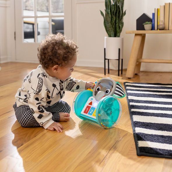 BABY EINSTEIN HRAČKA HUDEBNÍ INTERAKTIVNÍ CHASE & TAP EARL™ 6M+ - MOTORICKÉ A HUDEBNÍ - PRO DĚTI