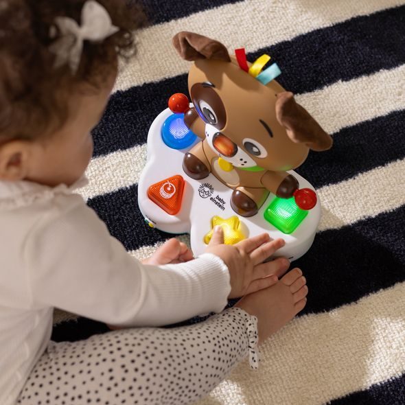 BABY EINSTEIN HRAČKA HUDEBNÍ VZDĚLÁVACÍ DRUM & LEARN DEAN™ 6M+ - MOTORICKÉ A HUDEBNÍ - PRO DĚTI
