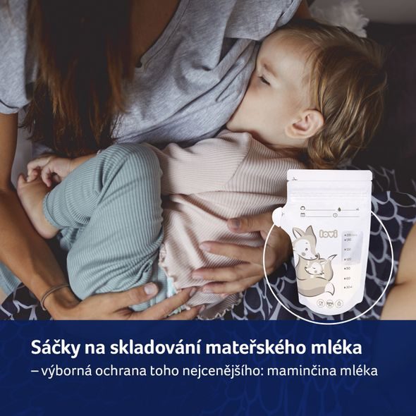 LOVI SÁČKY K UCHOVÁVÁNÍ ODSÁTÉHO MLÉKA 25 KS BUDDY BEAR - USKLADNĚNÍ MATEŘSKÉHO MLÉKA - KRMENÍ