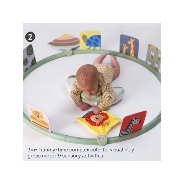 TAF TOYS HRACÍ KRUH PRO HRU NA BŘÍŠKU - HRA NA BŘÍŠKU - PRO DĚTI