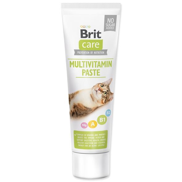 BRIT CARE CAT PASTE MULTIVITAMIN 100G - PAŠTIKY PRO KOČKY - CHOVATELSKÉ POTŘEBY MALVÍKZOO