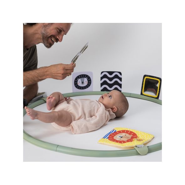 TAF TOYS HRACÍ KRUH PRO HRU NA BŘÍŠKU - HRA NA BŘÍŠKU - PRO DĚTI