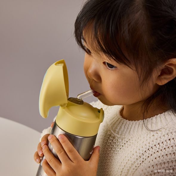 B.BOX TERMOSKA NA PITÍ S BRČKEM 350 ML - LOONEY TUNES - TERMOOBALY A TERMOSKY - KRMENÍ