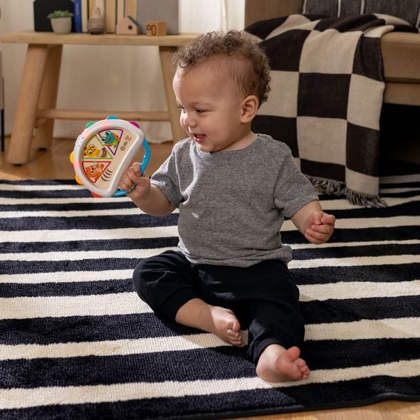 BABY EINSTEIN HRAČKA HUDEBNÍ TAMBURÍNA TAP & SHAKE™ MAGIC TOUCH™ HAPE 6M+ - HUDEBNÍ NÁSTROJE - PRO DĚTI