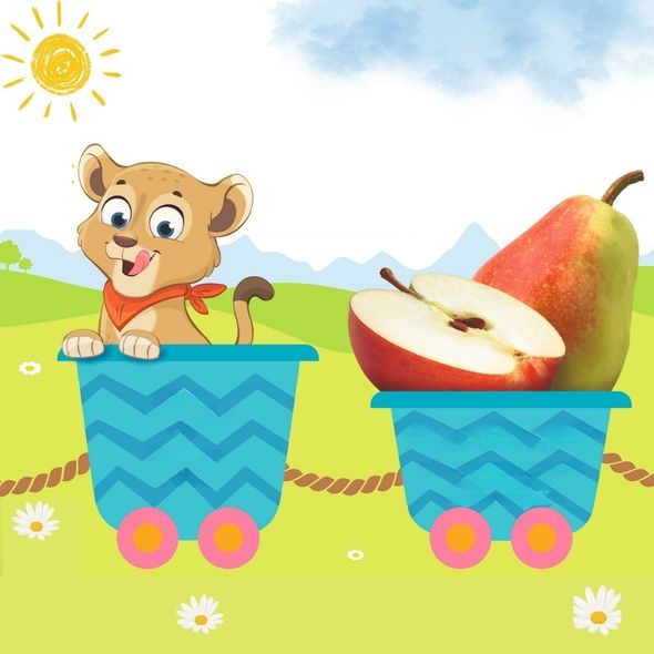 HIPP BIO JABLKA S HRUŠKAMI - OVOCE/DEZERTY - KRMENÍ