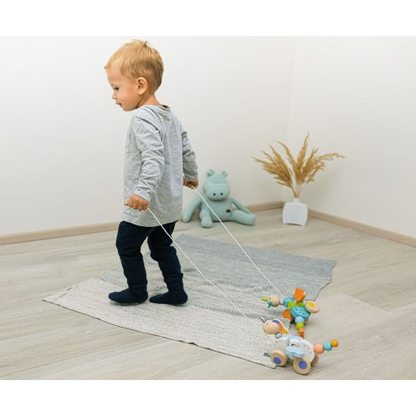 ZOPA DŘEVĚNÁ TAHACÍ HRAČKA - TAHACÍ A TLAČÍCÍ - PRO DĚTI