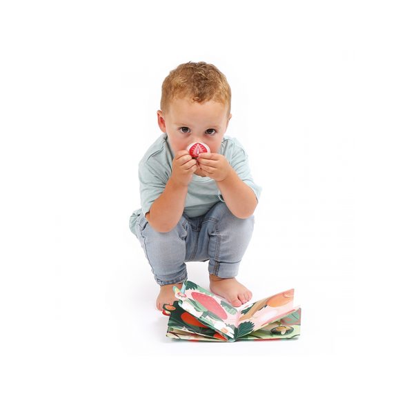 LUDI KNÍŽKA S VŮNÍ OVOCE - KNÍŽKY PRO NEJMENŠÍ - PRO DĚTI