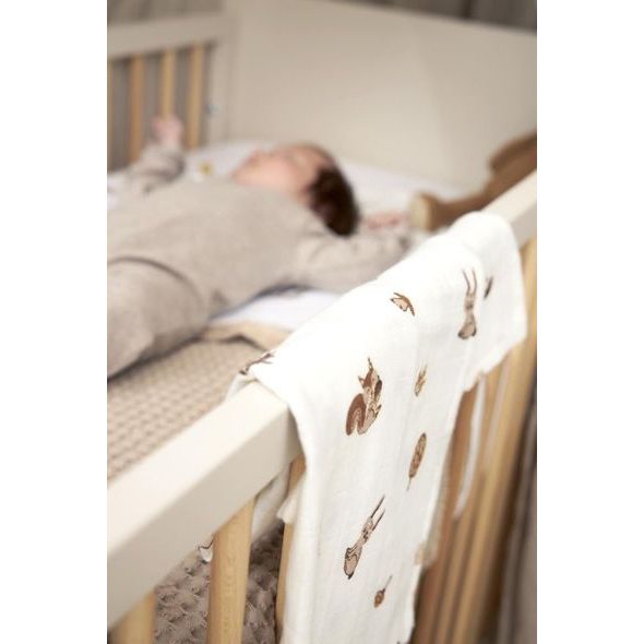 MEYCO MUŠELÍNOVÉ PLENY 2-BALENÍ FOREST ANIMALS TOFFEE - LÁTKOVÉ PLENY ALL IN ONE - PŘEBALOVÁNÍ