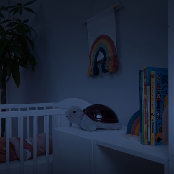 ZAZU ŽELVA TIM - PROJEKTOR ZÁPADU SLUNCE S MELODIEMI - PROJEKTORY - SPINKÁNÍ