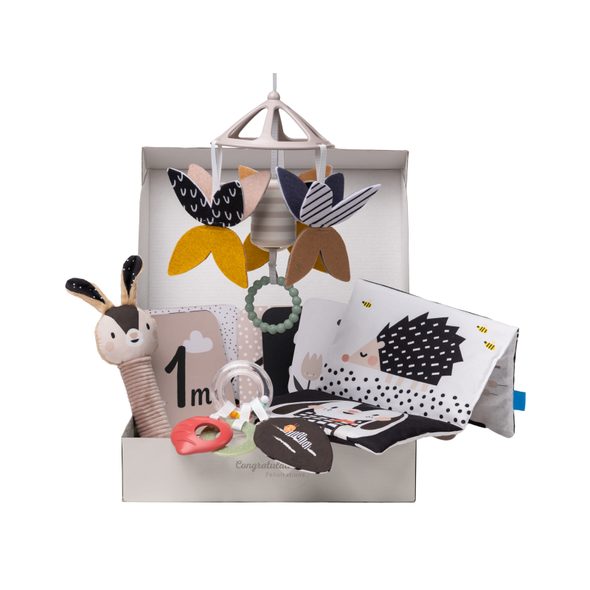 TAF TOYS SADA HRAČEK BLACK&WHITE KIT - ČERNOBÍLÉ HRAČKY - PRO DĚTI