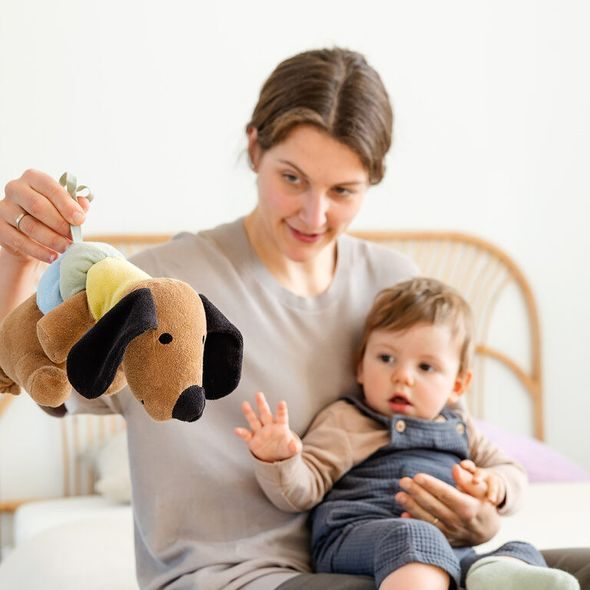 LÄSSIG HUDEBNÍ HRAČKA LITTLE MATEYS DOG - HRAČKY SE ZVUKY - PRO DĚTI