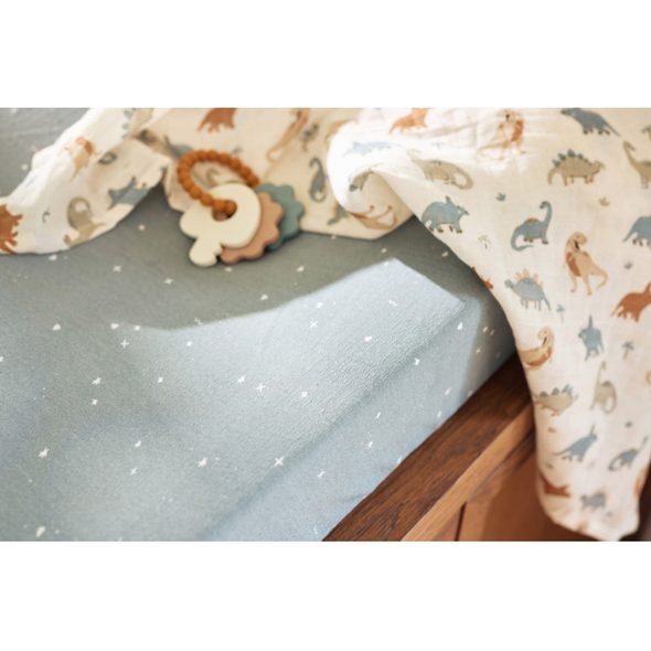 JOLLEIN PLENY ZAVINOVACÍ 2KS 115X115 CM ROARSOME - OSUŠKY A DĚTSKÉ ŽUPANY - KOUPÁNÍ A ZDRAVÍ