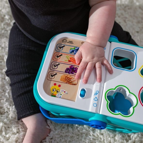 BABY EINSTEIN KOŠÍK NÁKUPNÍ MAGIC TOUCH HAPE 9M+ - OBCHOD - PRO DĚTI