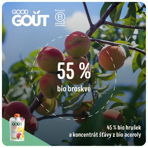 GOOD GOUT BIO BROSKEV S HRUŠKOU (120 G) - EXPIRACE 7.3.2026 - KAPSIČKY - KRMENÍ