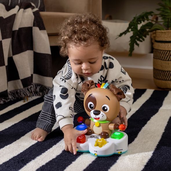 BABY EINSTEIN HRAČKA HUDEBNÍ VZDĚLÁVACÍ DRUM & LEARN DEAN™ 6M+ - MOTORICKÉ A HUDEBNÍ - PRO DĚTI