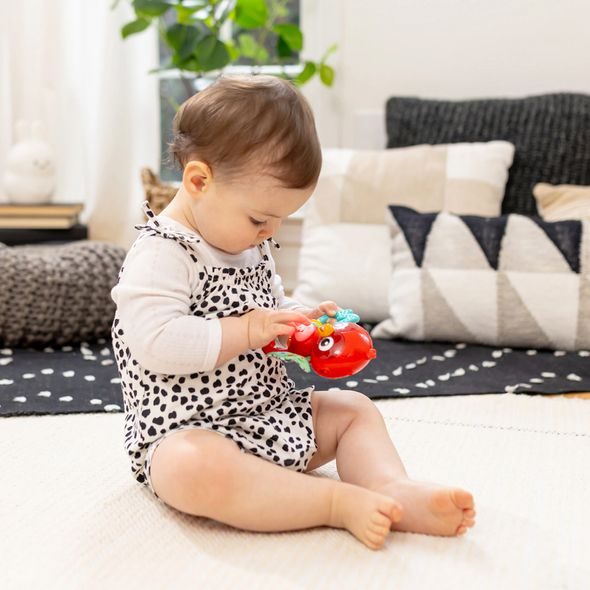 BABY EINSTEIN HRAČKA HUDEBNÍ SENZORICKÁ ROXY'S BRIGHT FLIGHT™ 3M+ - MOTORICKÉ A HUDEBNÍ - PRO DĚTI