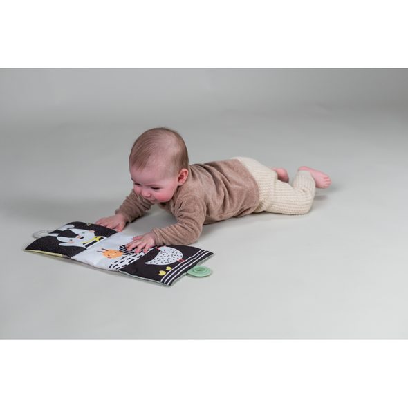 TAF TOYS SADA HRAČEK PRO HRU NA BŘÍŠKU - HRAČKY PRO NEJMENŠÍ - PRO DĚTI