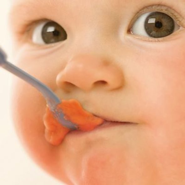 PHILIPS AVENT PARNÍ HRNEC A MIXÉR 2V1 - KUCHYŇSKÉ PŘÍSTROJE - KRMENÍ