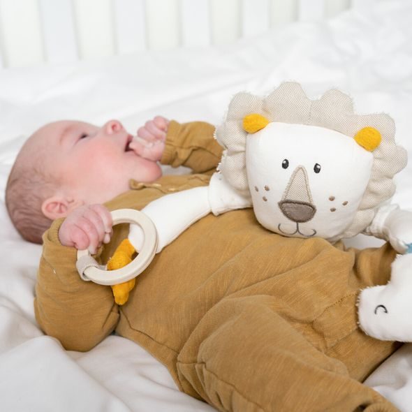 BABY FEHN AKTIVITY HRAČKA LEV - HRAČKY K ZAVĚŠENÍ - PRO DĚTI