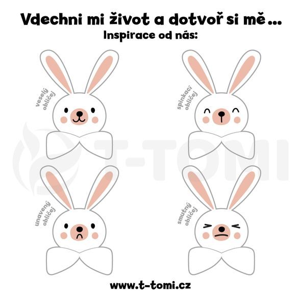 T-TOMI MUŠELÍNOVÝ USÍNÁČEK BUNNY - USÍNÁČCI MAZLÍCÍ - PRO DĚTI