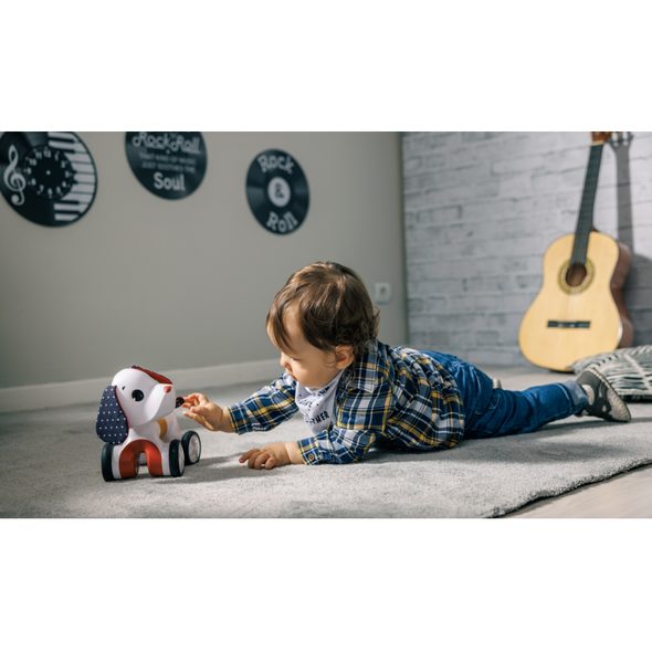 TINY LOVE PEJSEK JEZDICÍ CHARLIE TINY ROCKERS - MOTORICKÉ A HUDEBNÍ - PRO DĚTI