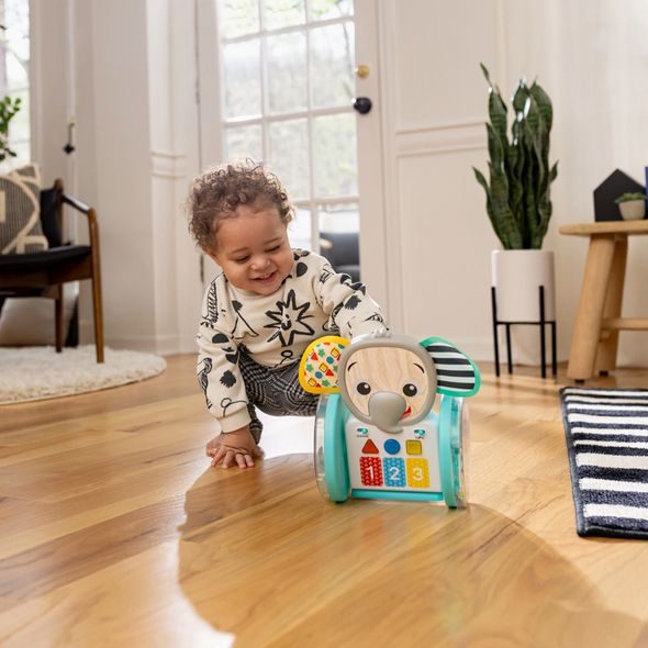 BABY EINSTEIN HRAČKA HUDEBNÍ INTERAKTIVNÍ CHASE & TAP EARL™ 6M+ - MOTORICKÉ A HUDEBNÍ - PRO DĚTI