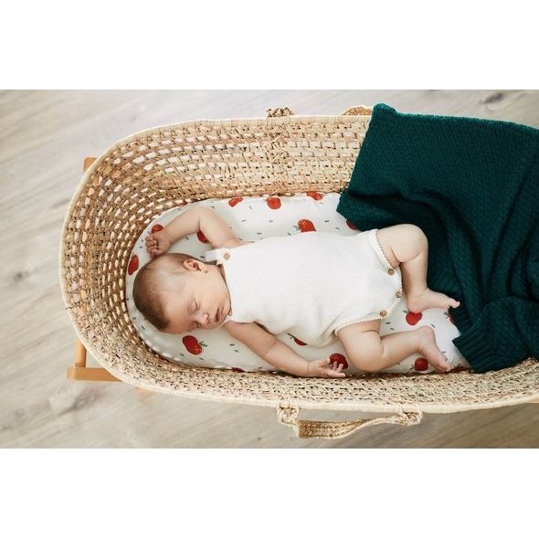 PINKNOMORE DEKA PŘÍZOVÁ BAMBUS FOREST - DĚTSKÉ DEKY PRO MIMINKA - SPINKÁNÍ